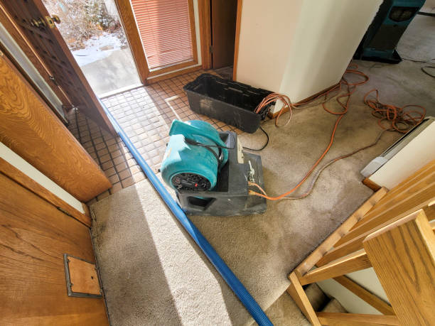 Best Mold removal after water damage  in Miami Springs, FL
