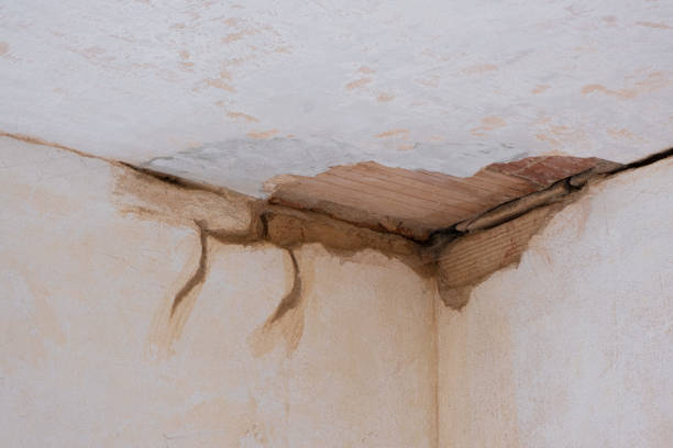 Best Water damage restoration near me  in Miami Springs, FL