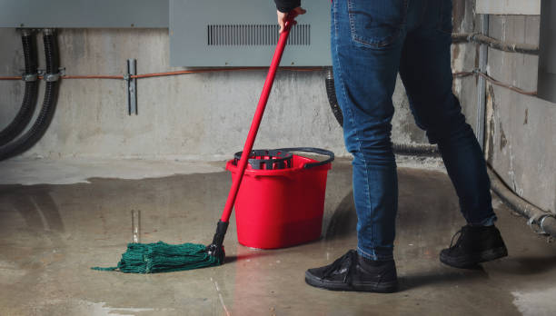 Best 24/7 water damage repair  in Miami Springs, FL