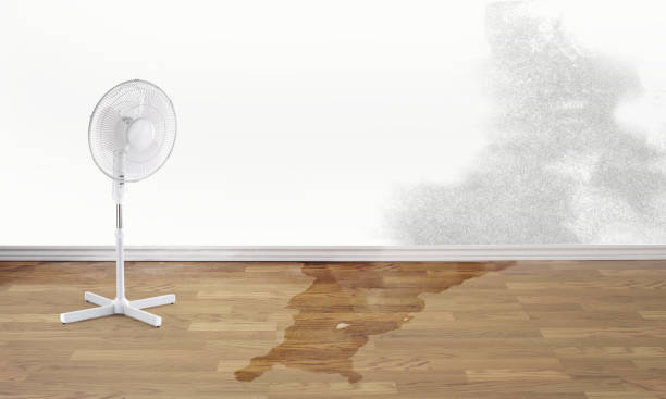 Best Water damage restoration mold remediation  in Miami Springs, FL