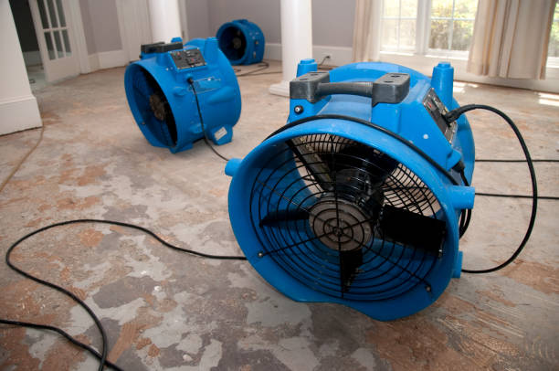 Best Water damage contractors near me  in Miami Springs, FL