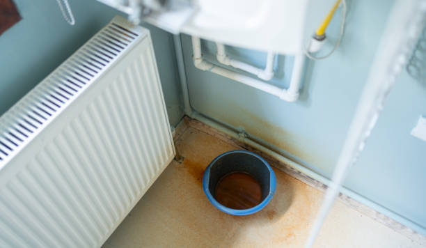 Best 24-hour water damage restoration  in Miami Springs, FL