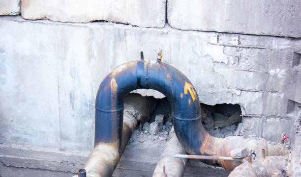 Best Flood restoration services  in Miami Springs, FL