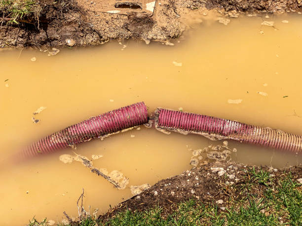 Best Water damage restoration near me  in Miami Springs, FL
